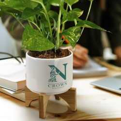 Homeware Products  - Planter with Bamboo Base