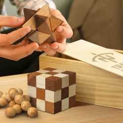 Executive Games  - Wooden Brain Teaser Set