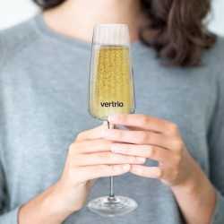 Printed Glasses & Tumblers  - Luigi Bormioli Optica Flute