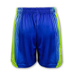 Sublimated Teamwear - Custom Mens Sports Shorts