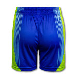 Sublimated Teamwear  - Custom Womens Sports Shorts