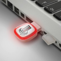 Flash Drives  - Zodiac 4GB Flash Drive