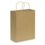 Paper Bags - Paper Carry Bag - Large