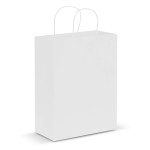 Paper Bags - Paper Carry Bag - Large