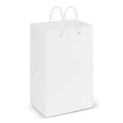 Paper Bags  - Laminated Carry Bag - Small
