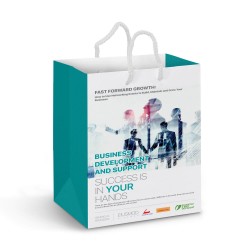 Paper Bags  - Medium Laminated Paper Carry Bag - Full Colour