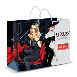 Paper Bags  - Extra Large Laminated Paper Carry Bag - Full Colour