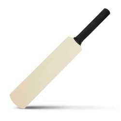 Novelties  - Mini Cricket Bat