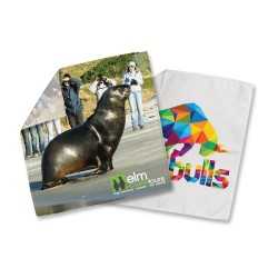 Novelties  - Microfibre Polishing Cloth