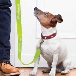 Novelties  - Trek Dog Leash