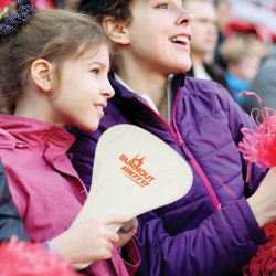 Novelties  - Foldable Event Fan