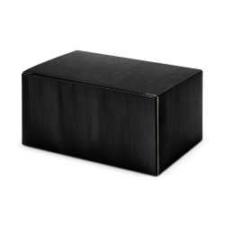 Wired & Bluetooth Speakers  - Cylon Bluetooth Speaker
