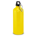 Drink Bottles - Metal  - Intrepid Bottle - 800ml