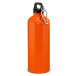 Drink Bottles - Metal  - Intrepid Bottle - 800ml