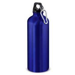 Drink Bottles - Metal - Intrepid Bottle - 800ml