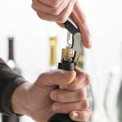 Bottle Openers  - Classic Wine Waiters Knife