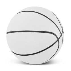 Sport Balls  - Basketball Promo