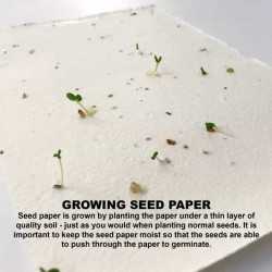 Printed Post It Notes - Lavender Seed Sticky Note Pad