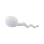 Stress Shapes  - Stress Sperm