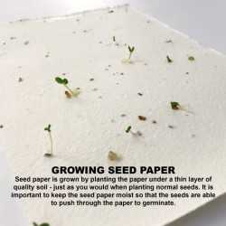 Printed Post It Notes  - Corn Poppy Seed Sticky Note Pad