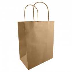 Paper Bags  - Medium Kraft Paper Bag