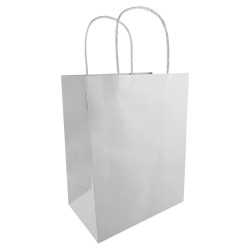 Paper Bags  - Medium Kraft Paper Bag