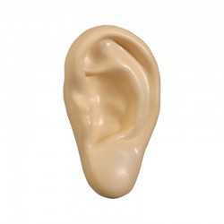 Stress Shapes  - Stress Ear
