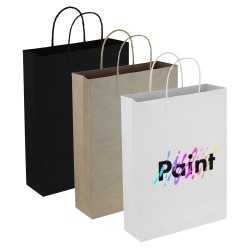 Paper Bags  - Paper Trade Show Bag