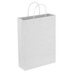 Paper Bags - Paper Trade Show Bag