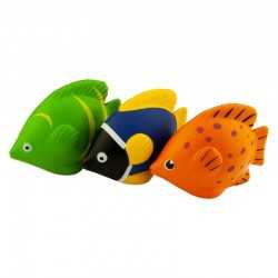 Stress Animals  - Stress Tropical Fish