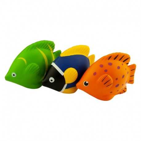 Stress Animals  - Stress Tropical Fish