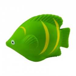 Stress Animals  - Stress Tropical Fish