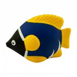 Stress Animals  - Stress Tropical Fish