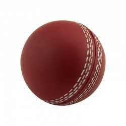 Stress Balls  - Stress Cricket Ball