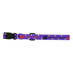 Pet Accessories - Dog Collar 10mm