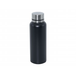 Drink Bottles - Metal  - Parisian 750ml Stainless Steel Bottle