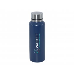 Drink Bottles - Metal  - Parisian 750ml Stainless Steel Bottle