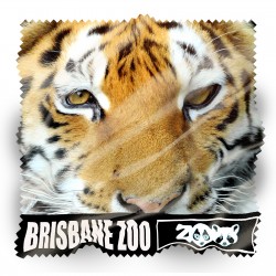 Phone Accessories  - Zig Zag Economy Microfibre Lens Cloth