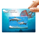 Flash Drives - Credit Card Flash Drive