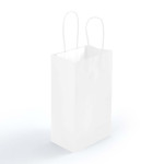Paper Bags - Express Paper Bag Small