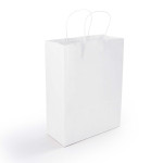 Paper Bags - Express Paper Bag Medium