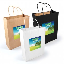 Paper Bags  - Express Paper Bag Large