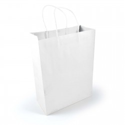 Paper Bags  - Express Paper Bag Large