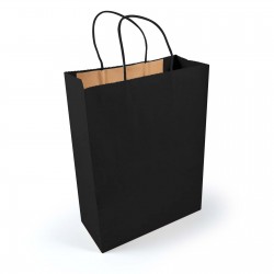 Paper Bags  - Express Paper Bag Large