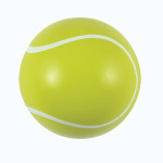 Exercise Sets - Hi Bounce Tennis Ball