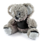 Teddy Bears &amp; Plush Toys - Korporate Koala