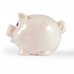 Money Boxes  - Worlds Smallest Pig Eco Coin Bank