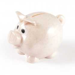 Money Boxes  - Worlds Smallest Pig Eco Coin Bank