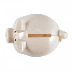 Money Boxes  - Worlds Smallest Pig Eco Coin Bank