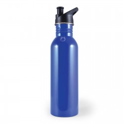 Drink Bottles - Metal  - Hike Drink Bottle 800ml